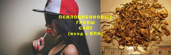 круглые Карталы