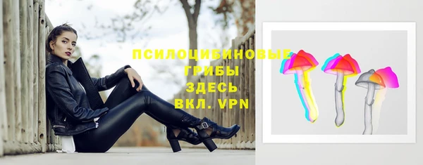 соль ск Карпинск